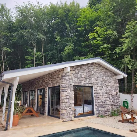 New Balturk Villa Sapanca