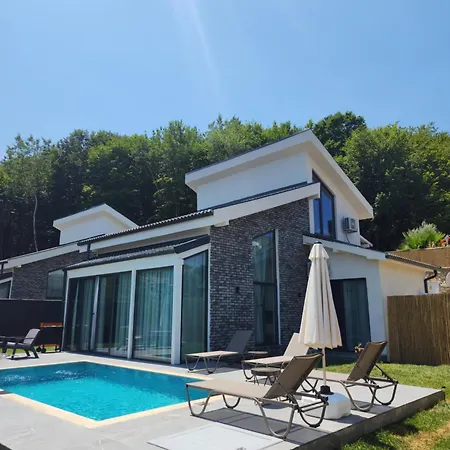 Villa New Balturk Sapanca