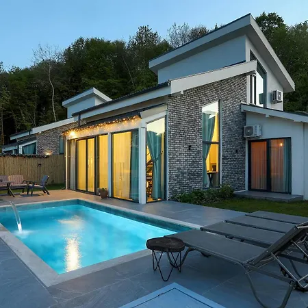 Villa New Balturk Sapanca