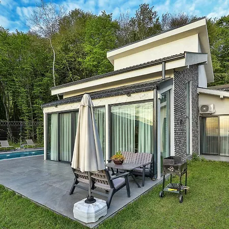 New Balturk Villa Sapanca
