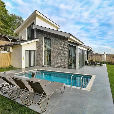 Villa New Balturk Sapanca